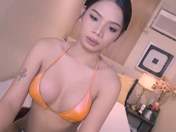 haisleypalmer